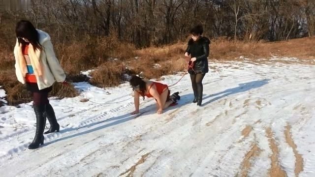 「沈阳鹰女王|野外雪地虐贱CD狗